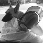 Lauren German Instagram –