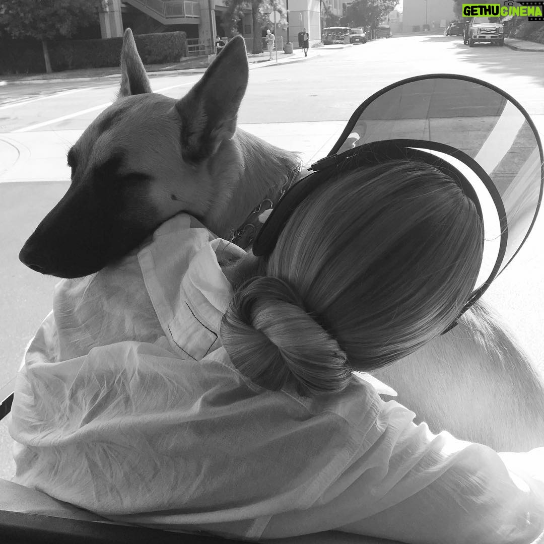 Lauren German - 62.3K Likes -