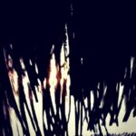 Lauren German Instagram -