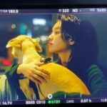 Lee Joo-young Instagram -