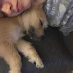 Lee Joo-young Instagram -