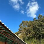 Lee Joo-young Instagram -