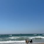 Lee Joo-young Instagram - 푸릇 Los Angeles, California