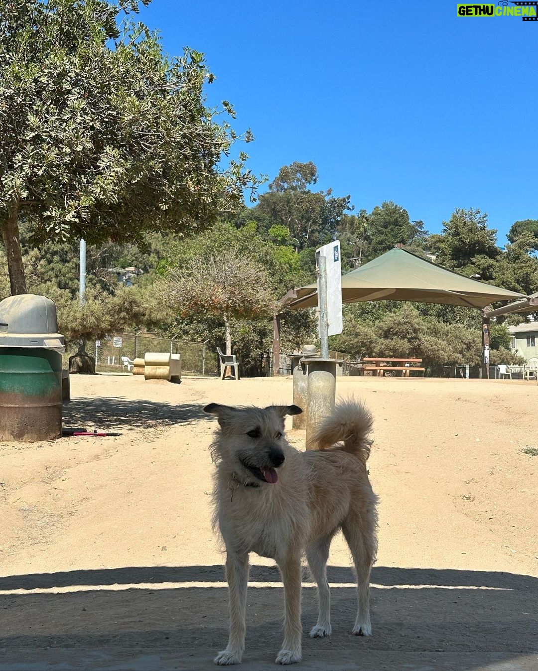 Lee Joo-young Instagram - Silver Lake, Los Angeles, California