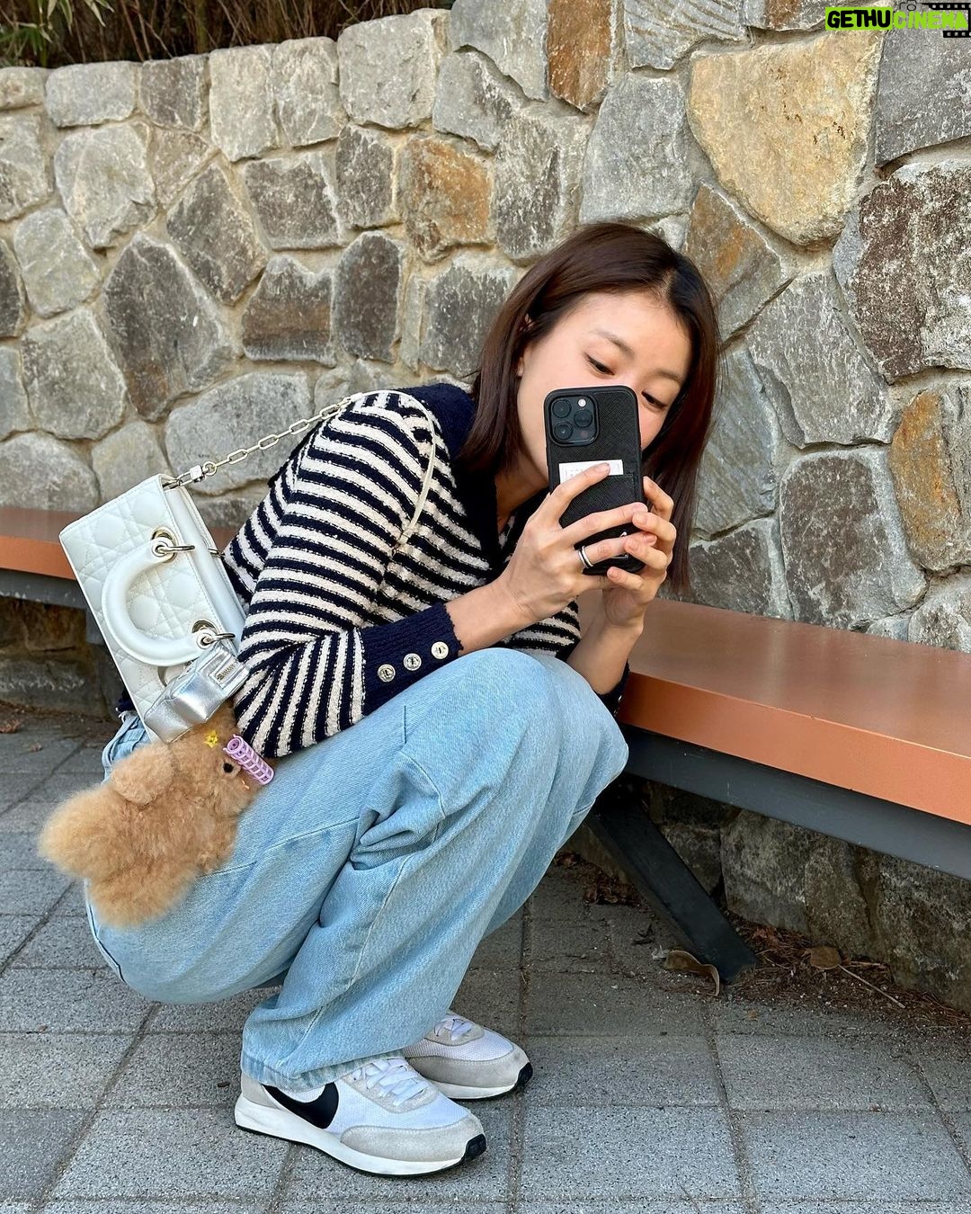 Lee Si-young Instagram - 🥠🍶 항상 실패하는 다이어트🫠(feat.인생바지찾았다♥️)