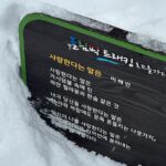 Lee Si-young Instagram - 선자령❄️🤍 이게 어제였다는게 믿어지지 않는 오늘😇 사진 보면서 다시 선자령으로🥹🥹🥹🥹🥹 여긴 이번주까지는 겨울왕국일듯해요 ㅎㅎ 그리고 경사도 거의 없고 그냥 산책로 수준이라(선자령까지는 5km 왕복은 10km정도)어렵지도 않지만 코스가 좀 길긴 한데요. 눈구경하다가 중간에 내려와도 되니 차만있다면 아무 부담없이 갈수있어요!!!! 주차장 내려서부터 이미 겨울왕국임 ㅎㅎ 내비에 대관령마을휴게소 치고 가면 되구요. 주차하고 휴게소에서 썰매 꼭 대여해서 올라가세요♥️♥️♥️ 아이 데리고 가세용😍😍😍 처음부터 너무 예쁜곳이라 조금만 걸어다니면서 놀다가 와도 됩니다🙏🏻 대관령 선자령