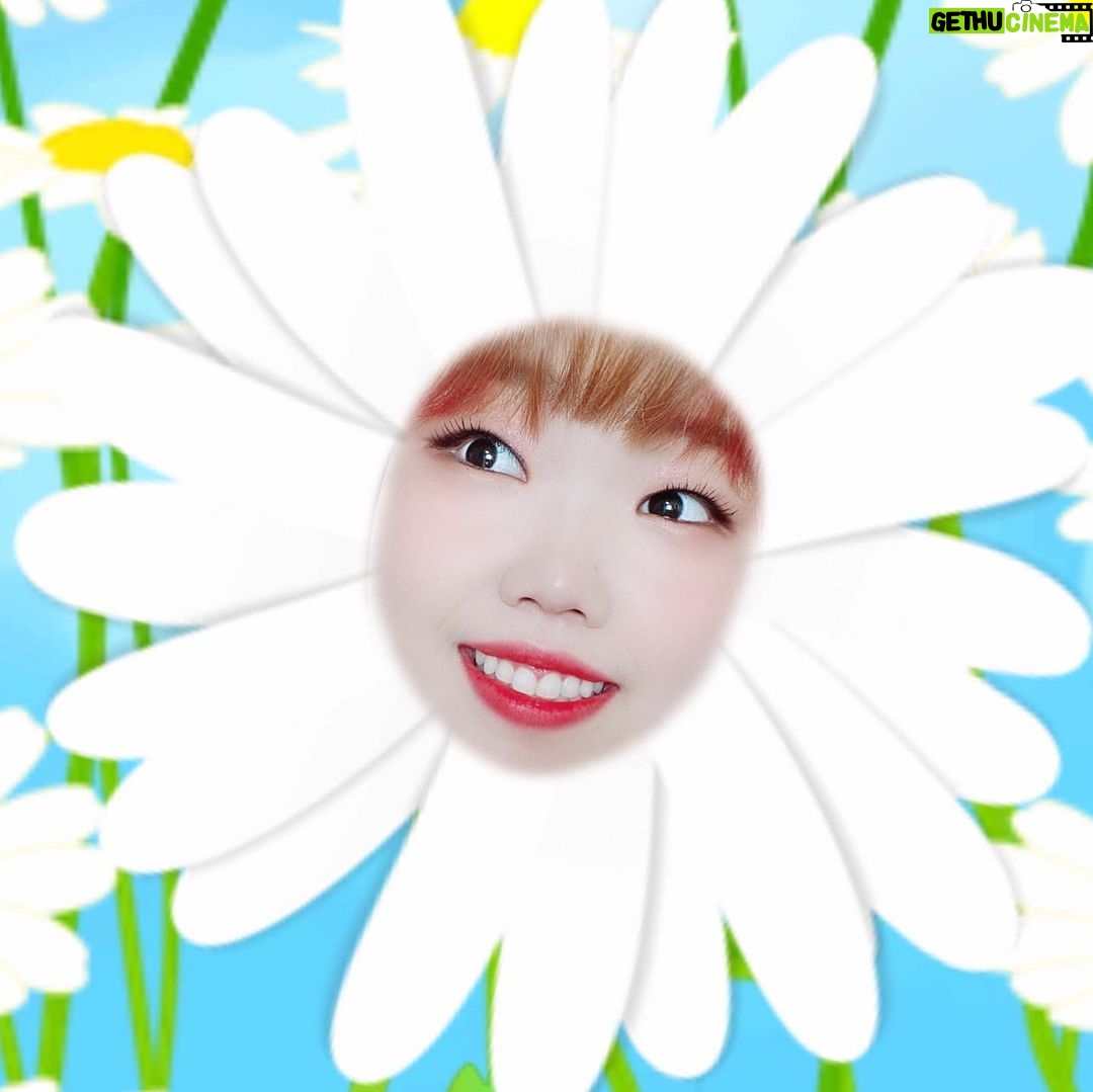 Lee Soo-hyun Instagram - ✨1999.05.04✨ 22번째 생일 끝! 모두 고맙습니다🤍