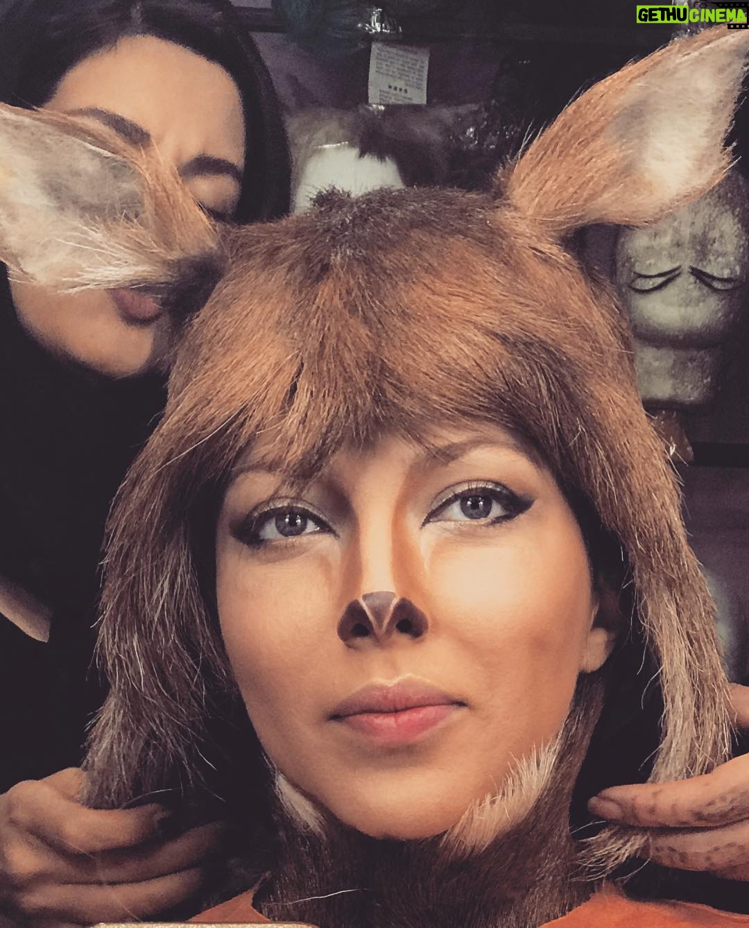 Leila Otadi - 45.1K Likes - يكى از گريمايي كه خيلي دوست دارم ،گريم نقش جديدم #آهو ى#پيشونى_طلا س👌🏻🦌 🦌🦌🦌يه نقش متفاوت وبينظير😉🌹❤️