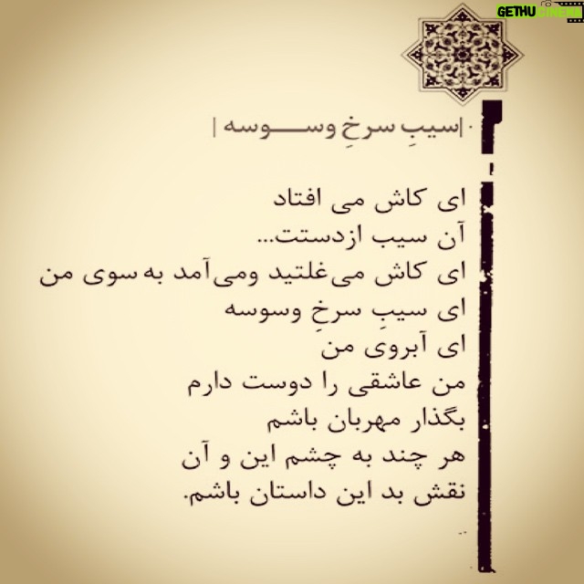 Leila Otadi - 6.6K Likes - #ليلااوتادي#شعر#سيب#سرخ#وسوسه#كتاب#🍎🍎🍎🍎🍎🍎🍎🍎🍎🍎#leilaotadii #book#poet#poem#apple#redapple#tempting#