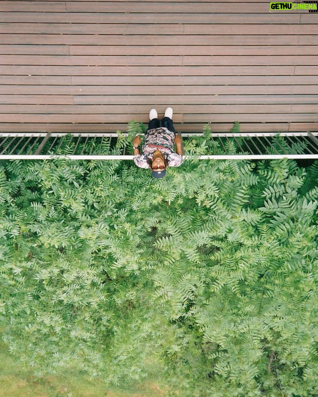 Leon G. Thomas III Instagram - Look up ! 📸 by @fujjidom