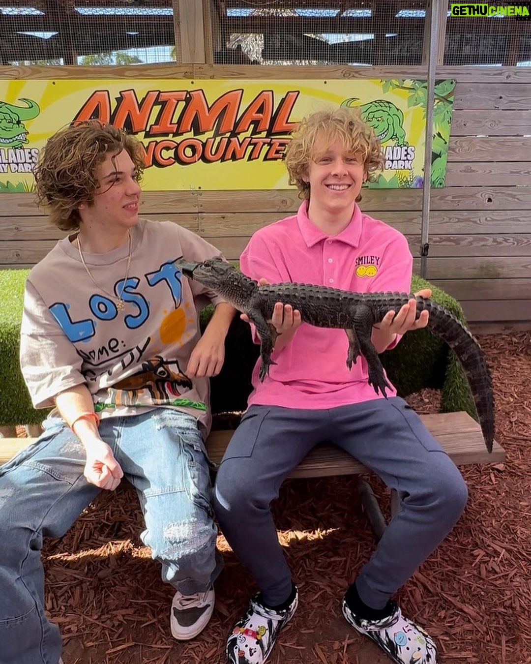 Lev Cameron Instagram - swipe to see more animals