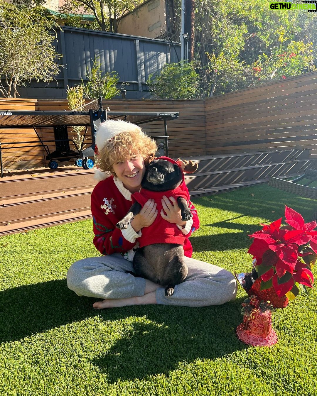 Lev Cameron Instagram - If u look closely there are two dogs in this photo