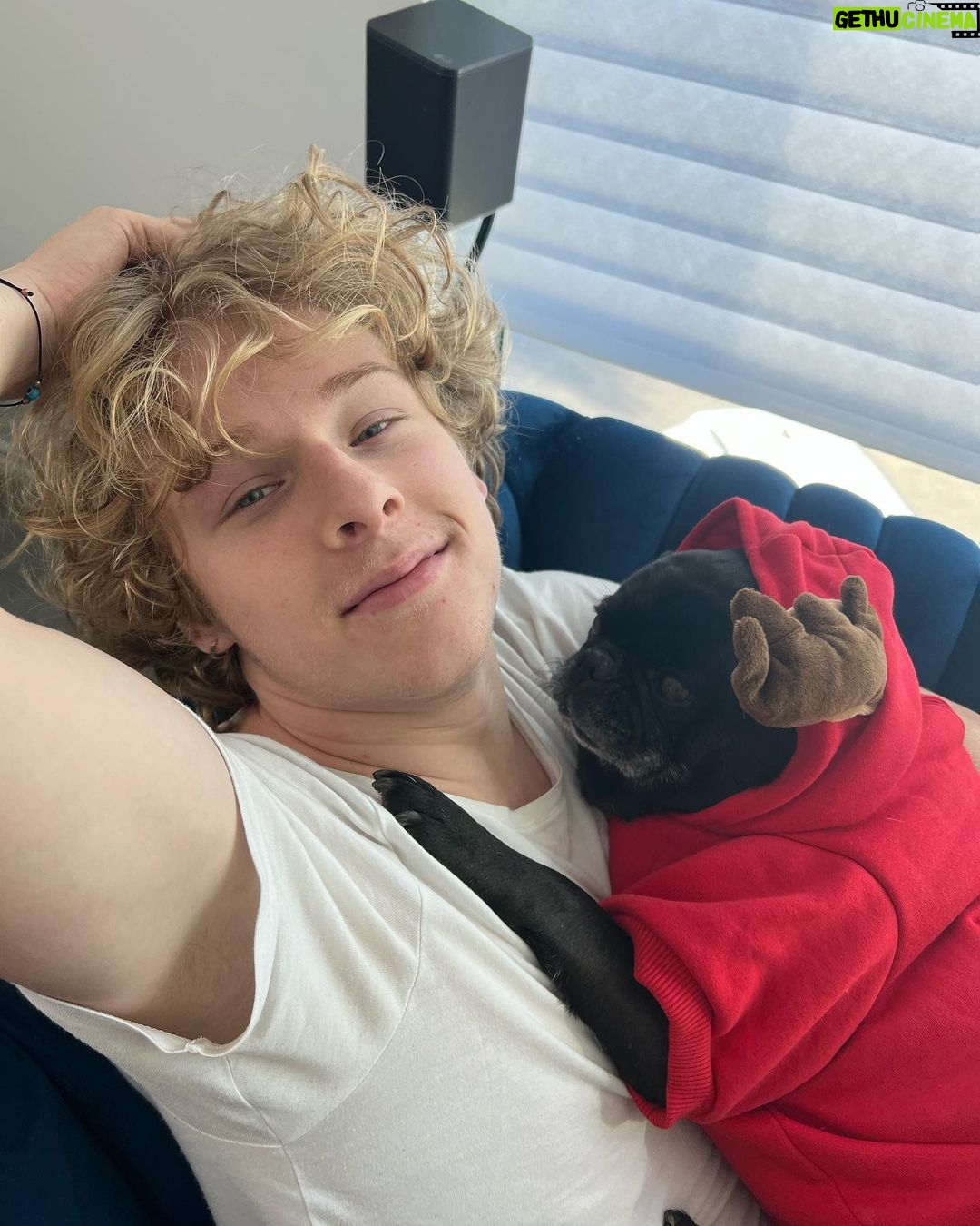 Lev Cameron Instagram - If u look closely there are two dogs in this photo
