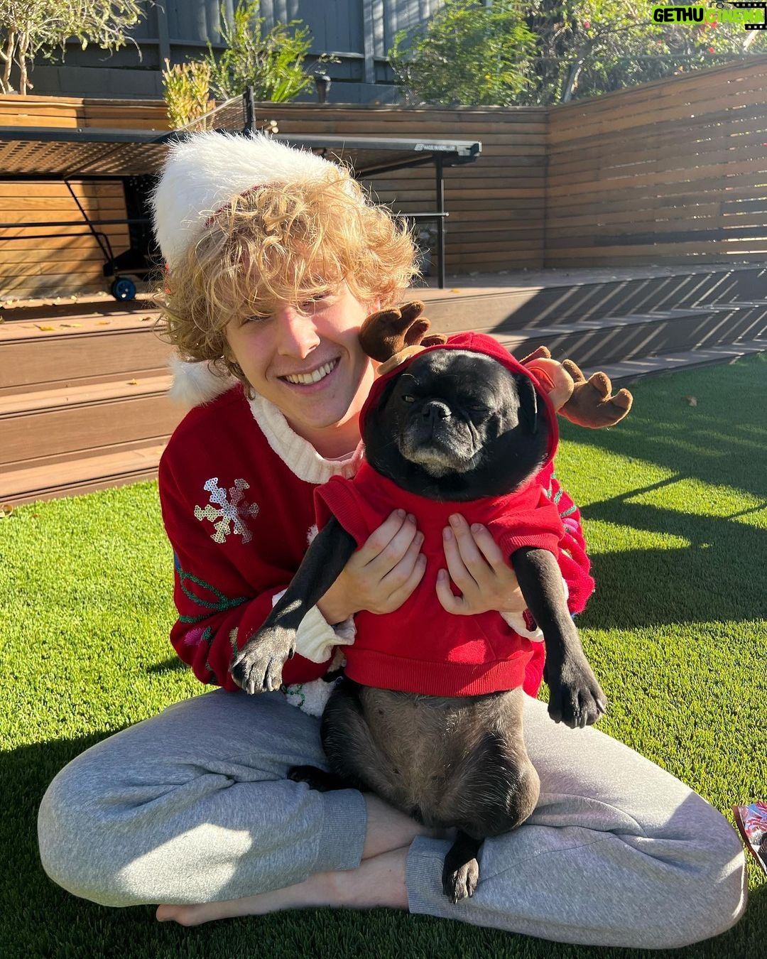 Lev Cameron Instagram - If u look closely there are two dogs in this photo