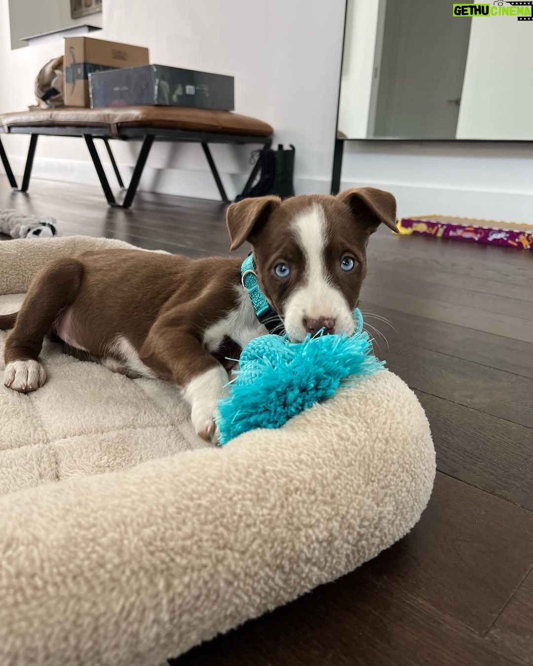 Lindsey Morgan Instagram - Got our hands full over here . . . Name suggestions?