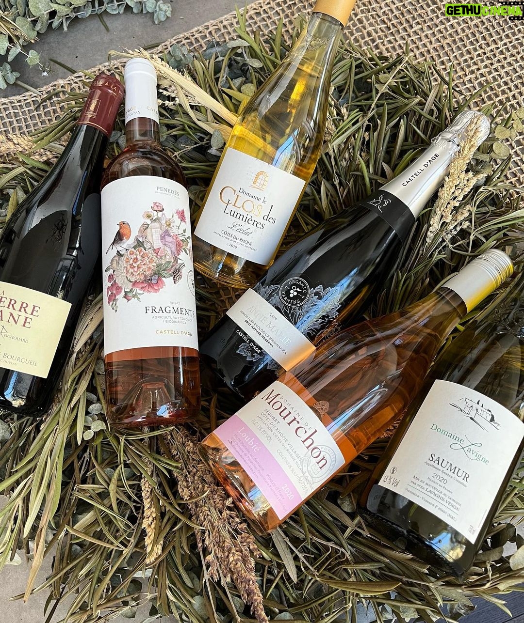Lindsey Morgan Instagram - @mirabelleselects is helping me celebrate the end of dry January 🥂🍾 Thank you for another beautiful selection of wine. I love it!