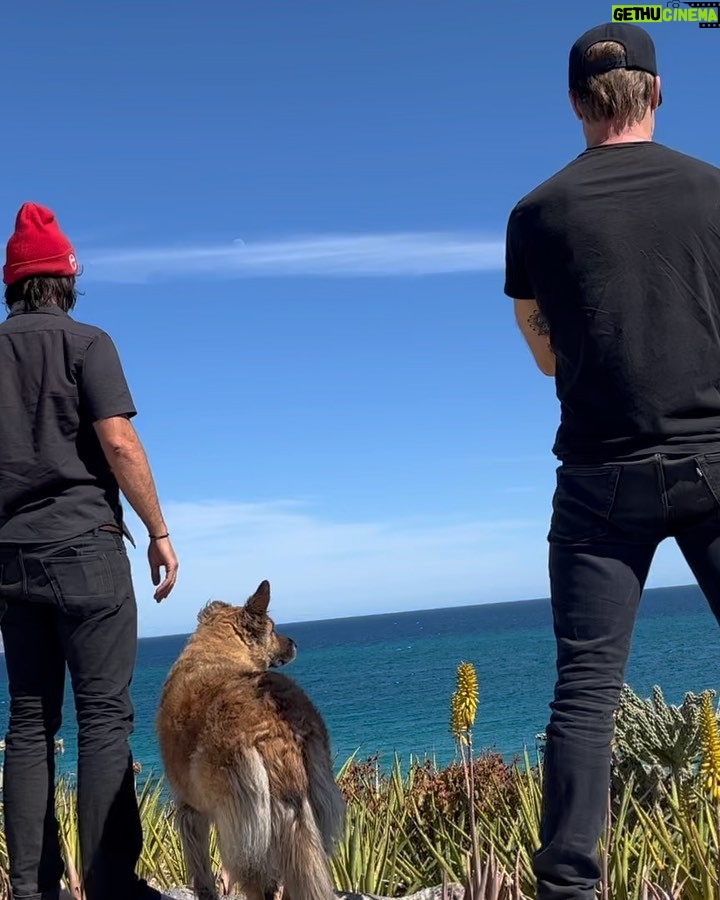 Lindsey Morgan Instagram - Baja w. The Boys @justingchatwin @shaun_sipos