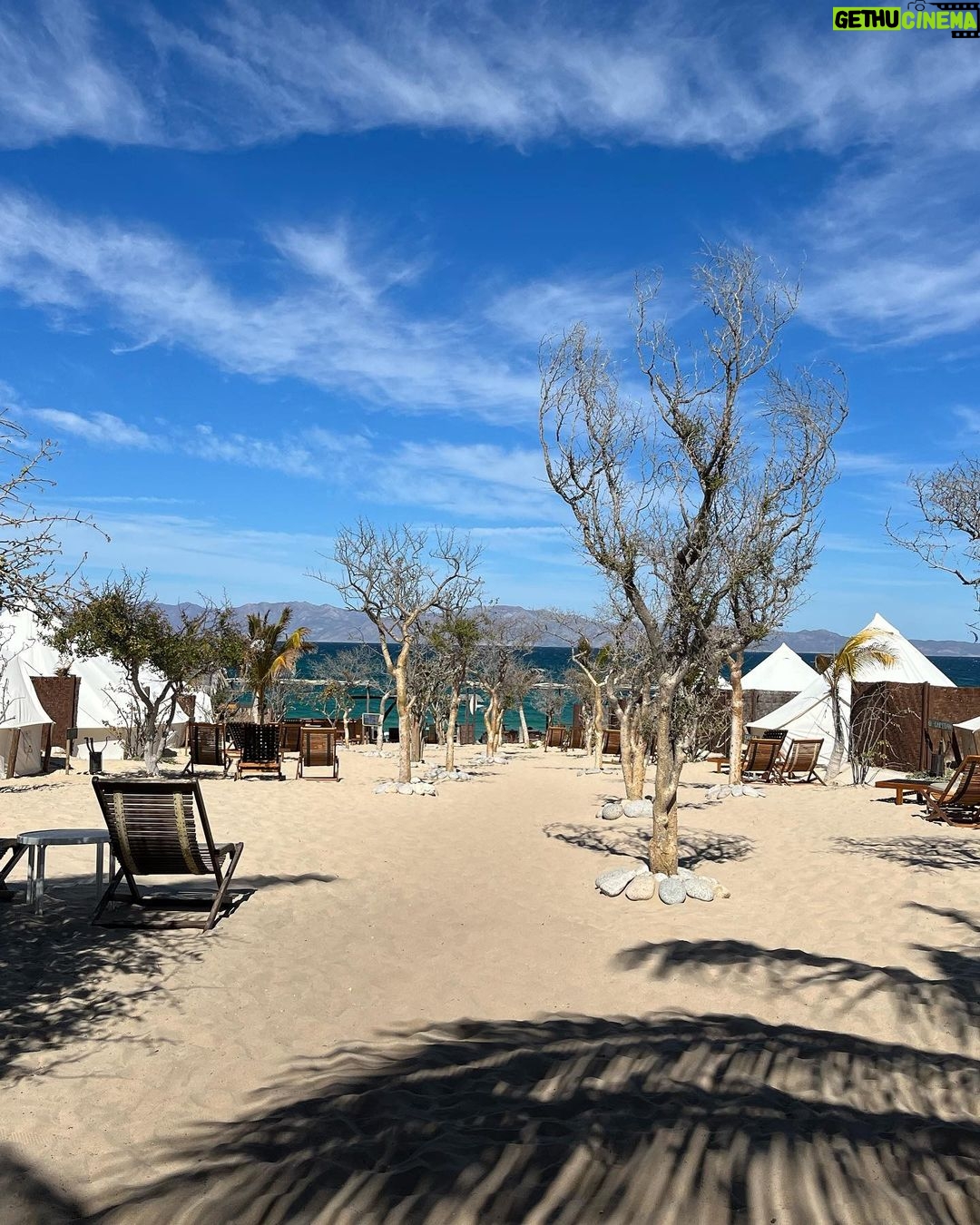 Lindsey Morgan Instagram - Baja w. The Boys @justingchatwin @shaun_sipos