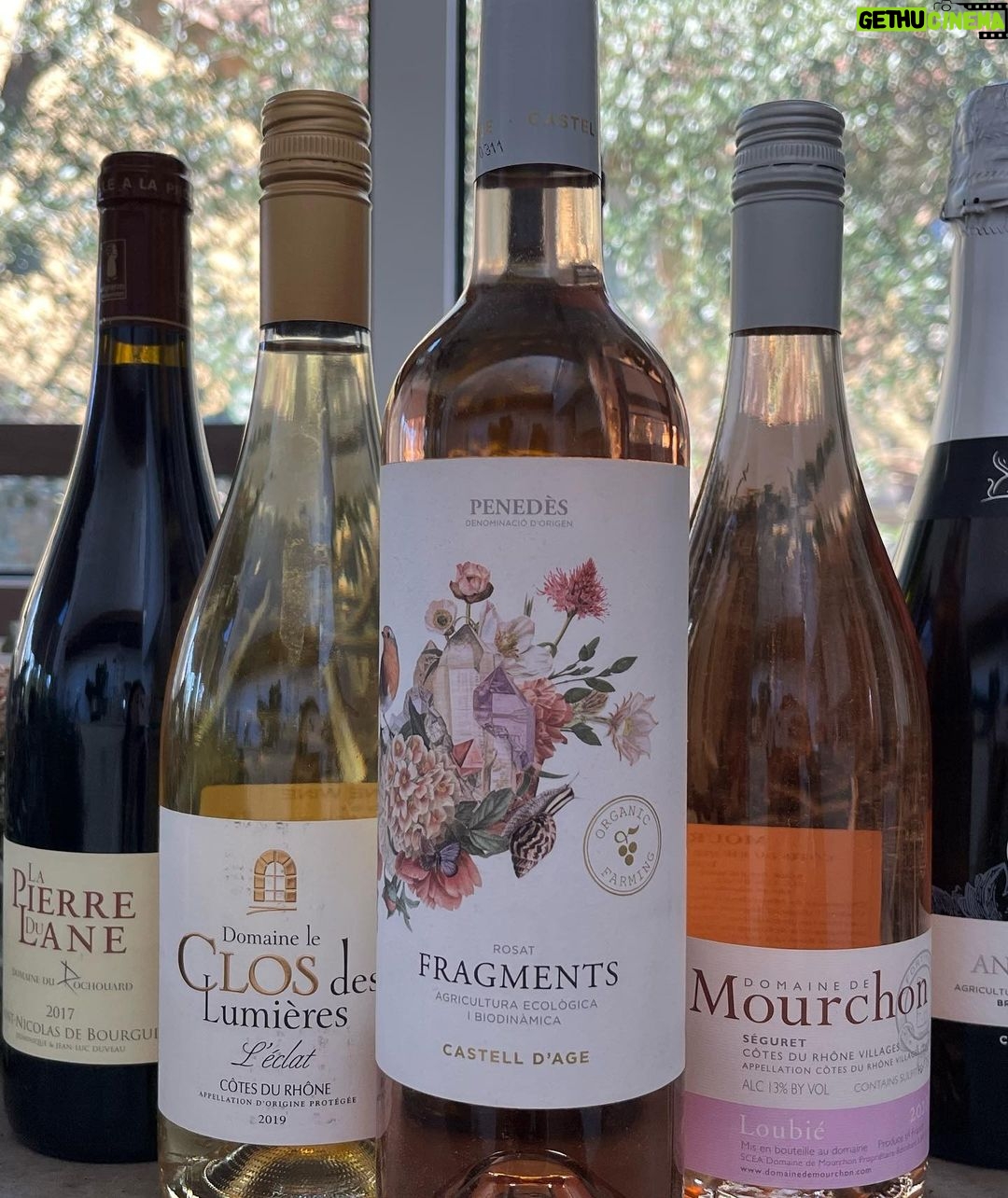 Lindsey Morgan Instagram - @mirabelleselects is helping me celebrate the end of dry January 🥂🍾 Thank you for another beautiful selection of wine. I love it!