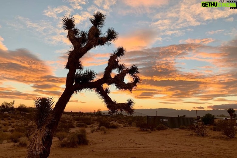 Lindsey Morgan Instagram - Please welcome The Joshua Tree Homestead 🌵✨ Shaun has been building our little desert get-away cabin for over two years and now she is finally ready. She is our second home but we wanted to open our doors, (when we aren’t there) so everyone can enjoy some Joshua Tree magic. Book your stay now ✨🌵 Link is in the bio Joshua Tree, California