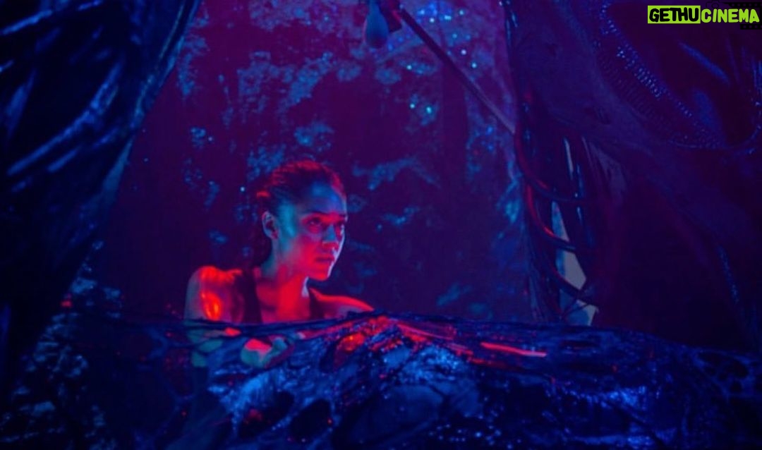 Lindsey Morgan Instagram - Caption this