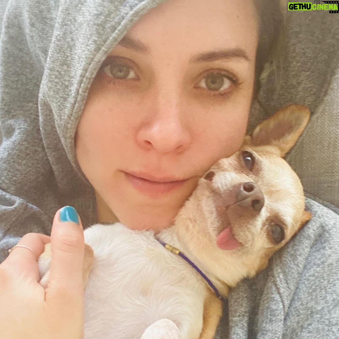 Maggie Civantos - 99.3K Likes - Tito, vuela alto ❤️
…aún asimilando … es difícil sintetizar todo los sentimientos …aun escucho sus patitas caminando por la casa…
…siempre me sentí muy afortunada por haberlo encontrado. Ahora solo me quedar recordar y agradecer cada segundo de los ocho años que estuvimos juntos, mi amigo y compañero de viaje.
Agradecida por todo el amor que me dio, las risas, lo mucho que aprendí de él, de mi perro, de la lealtad,la paciencia, el amor y la poderosa compañía, amigo inseparable.
Gracias Tito por ser tan especial!
I’m so grateful for every second I have lived next to him He taught me so many beautiful things…he was an angel ❤️
Forever @tito_superdog ❤️
Descansa en paz