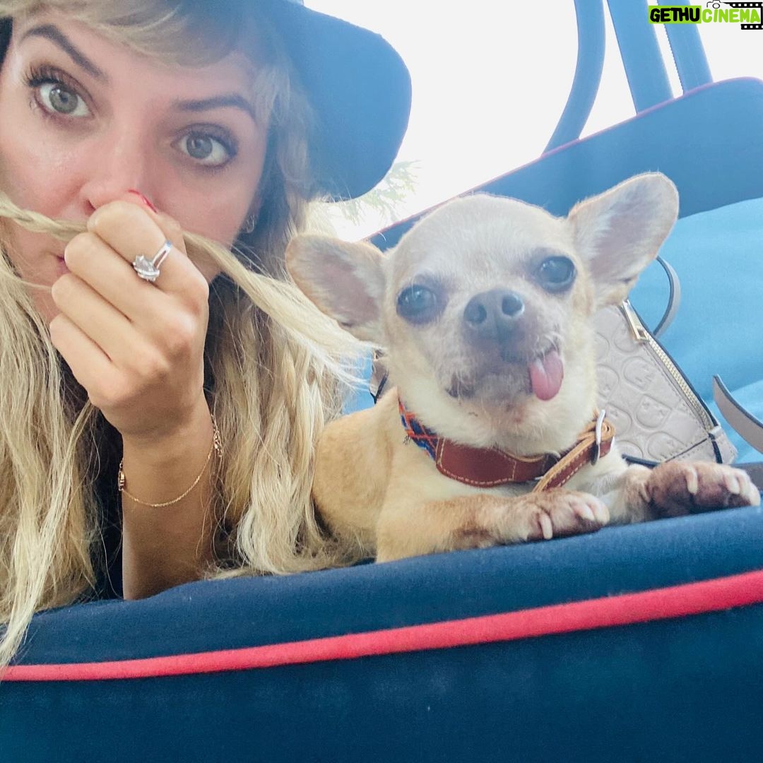 Maggie Civantos - 99.3K Likes - Tito, vuela alto ❤️
…aún asimilando … es difícil sintetizar todo los sentimientos …aun escucho sus patitas caminando por la casa…
…siempre me sentí muy afortunada por haberlo encontrado. Ahora solo me quedar recordar y agradecer cada segundo de los ocho años que estuvimos juntos, mi amigo y compañero de viaje.
Agradecida por todo el amor que me dio, las risas, lo mucho que aprendí de él, de mi perro, de la lealtad,la paciencia, el amor y la poderosa compañía, amigo inseparable.
Gracias Tito por ser tan especial!
I’m so grateful for every second I have lived next to him He taught me so many beautiful things…he was an angel ❤️
Forever @tito_superdog ❤️
Descansa en paz