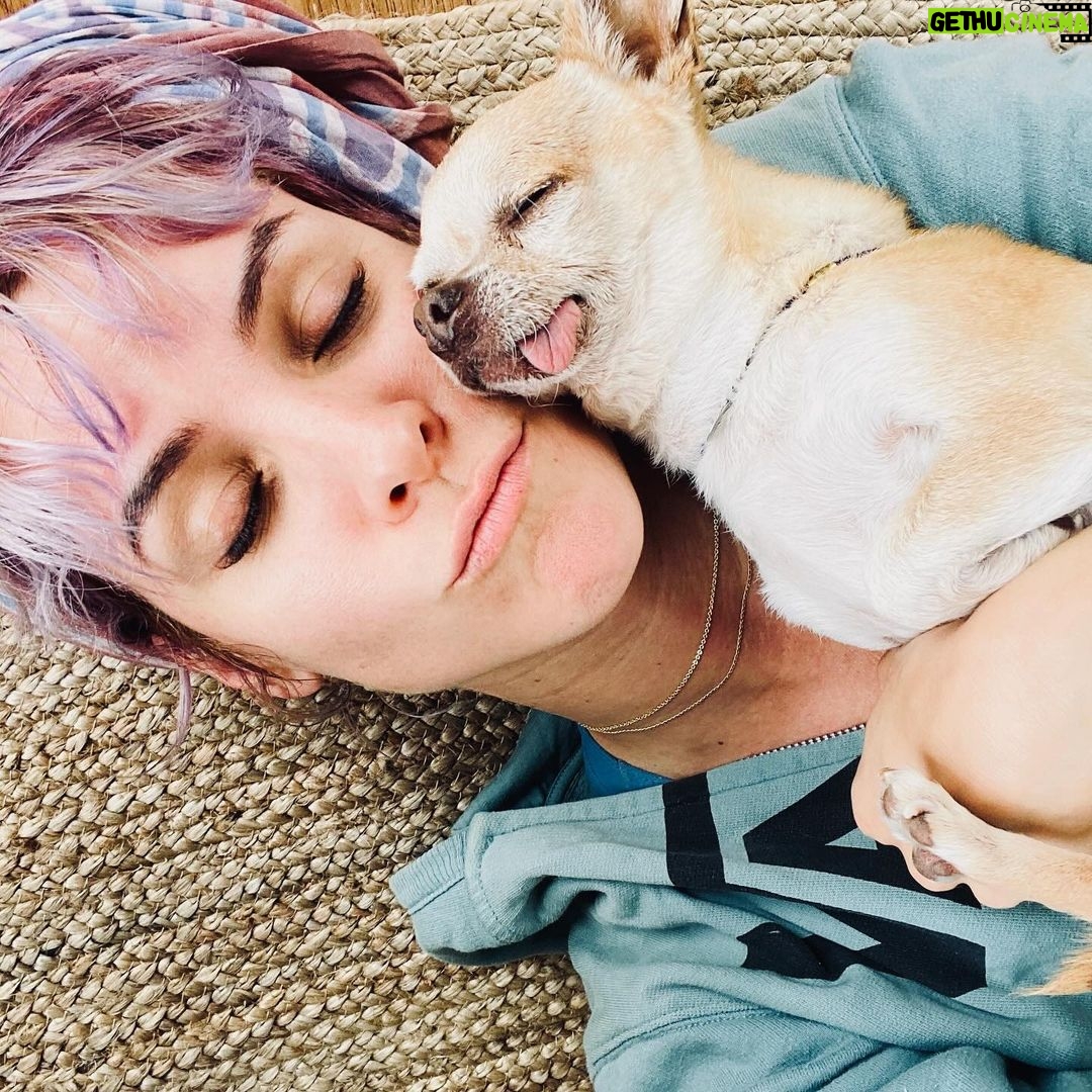 Maggie Civantos - 99.3K Likes - Tito, vuela alto ❤️
…aún asimilando … es difícil sintetizar todo los sentimientos …aun escucho sus patitas caminando por la casa…
…siempre me sentí muy afortunada por haberlo encontrado. Ahora solo me quedar recordar y agradecer cada segundo de los ocho años que estuvimos juntos, mi amigo y compañero de viaje.
Agradecida por todo el amor que me dio, las risas, lo mucho que aprendí de él, de mi perro, de la lealtad,la paciencia, el amor y la poderosa compañía, amigo inseparable.
Gracias Tito por ser tan especial!
I’m so grateful for every second I have lived next to him He taught me so many beautiful things…he was an angel ❤️
Forever @tito_superdog ❤️
Descansa en paz