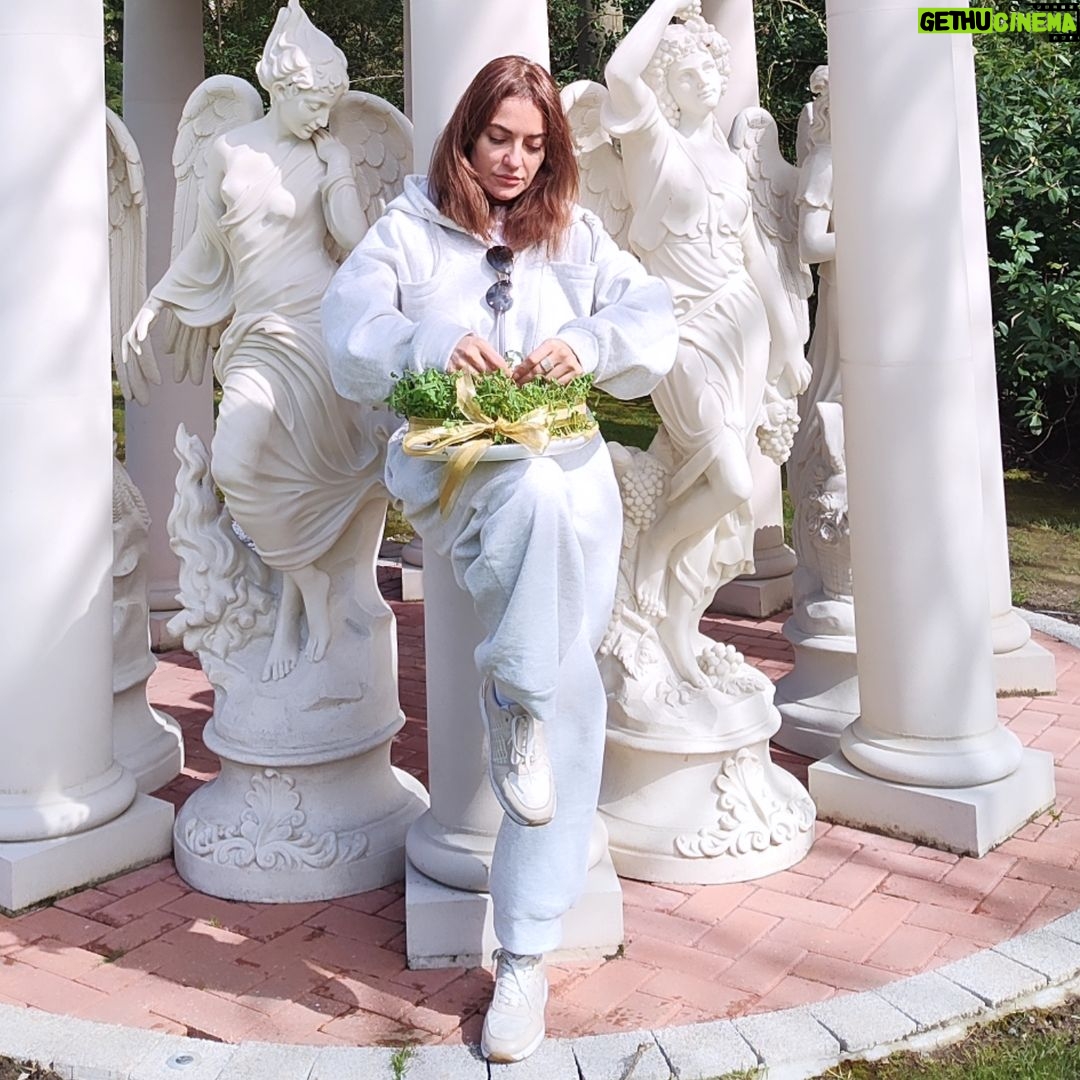Mahnaz Afshar Instagram - سیزده بدر مبارک 🌺💙 Happy 13th day of the new year
