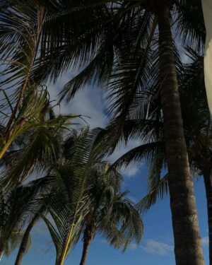 María Chacón Instagram - mentalmente aquí 💭🌊🤍🌴🐚