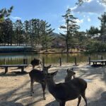 María Chacón Instagram - De los días más bonitos. 🦌🌲🤍 Haciendo feliz a la de la última foto 🥹🤍 Nara Park, Japan