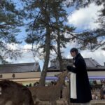 María Chacón Instagram - De los días más bonitos. 🦌🌲🤍 Haciendo feliz a la de la última foto 🥹🤍 Nara Park, Japan
