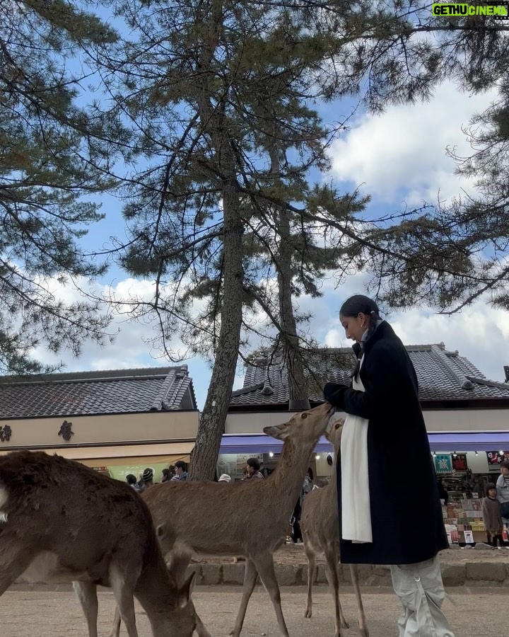 María Chacón Instagram - De los días más bonitos. 🦌🌲🤍 Haciendo feliz a la de la última foto 🥹🤍 Nara Park, Japan