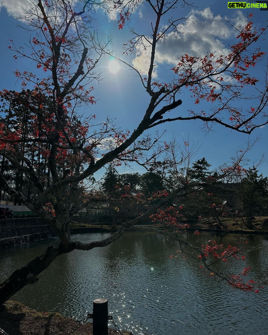 María Chacón Instagram - De los días más bonitos. 🦌🌲🤍 Haciendo feliz a la de la última foto 🥹🤍 Nara Park, Japan