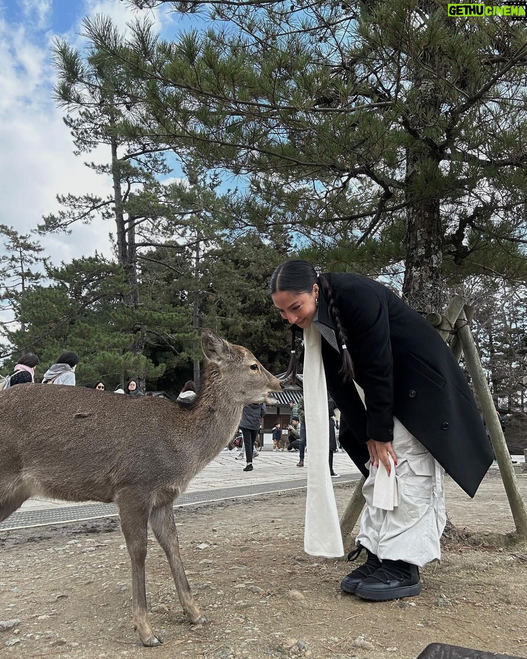 María Chacón Instagram - De los días más bonitos. 🦌🌲🤍 Haciendo feliz a la de la última foto 🥹🤍 Nara Park, Japan