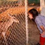 María Chacón Instagram - De los días más bonitos. 🦌🌲🤍 Haciendo feliz a la de la última foto 🥹🤍 Nara Park, Japan