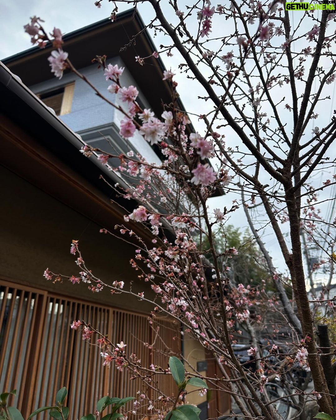 Mar铆a Chac贸n Instagram - la magia de Kyoto 馃尭 Kyoto, Japan