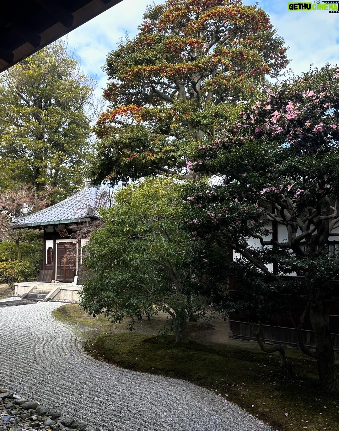 Mar铆a Chac贸n Instagram - la magia de Kyoto 馃尭 Kyoto, Japan