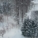 María Chacón Instagram - winter wonderland 🗻 Niseko, Hokkaido