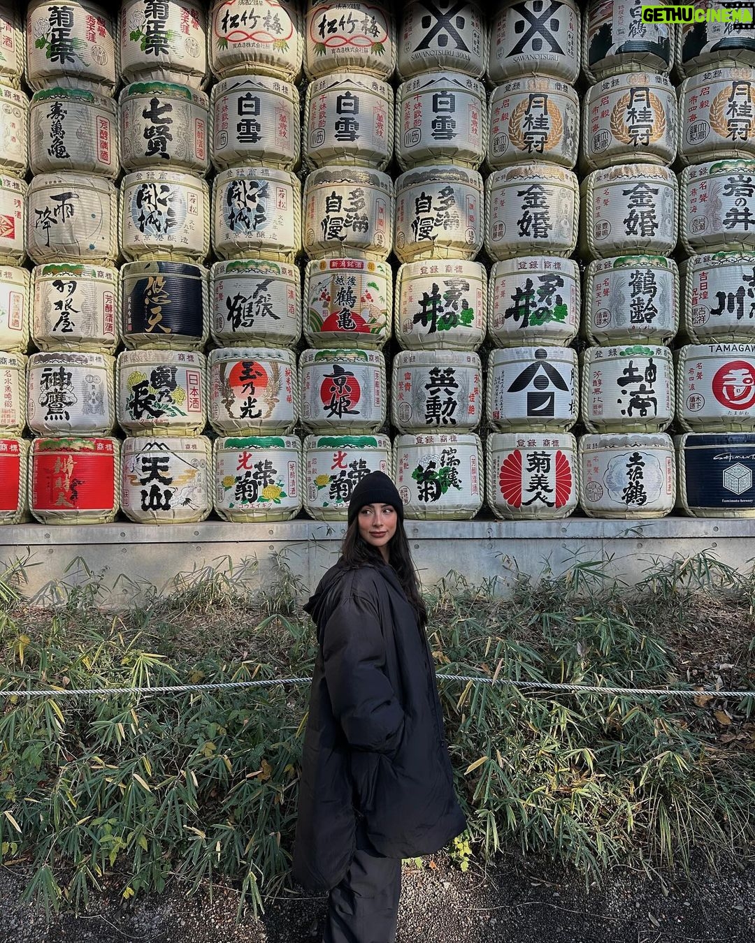 María Chacón Instagram - año nuevo en tokyo 🍜🥢🥟🇯🇵🏯 Tokyo, Japan