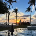 María Chacón Instagram - algunas de mis fotos favoritas de 2023 que no postee ✨ -flower fiels en carlsbed, cali. -st Barths -Costa Rica -nusa penida -punta mita -amalfi coast -ubud, bali -Río de Janeiro -Colombia -brindando con mi gente más cercana a salud de mi papá con los vinos que tenían sus etiquetas. 🤍 Agradecida por tantos recuerdos hermosos que me dio este año. ❤️