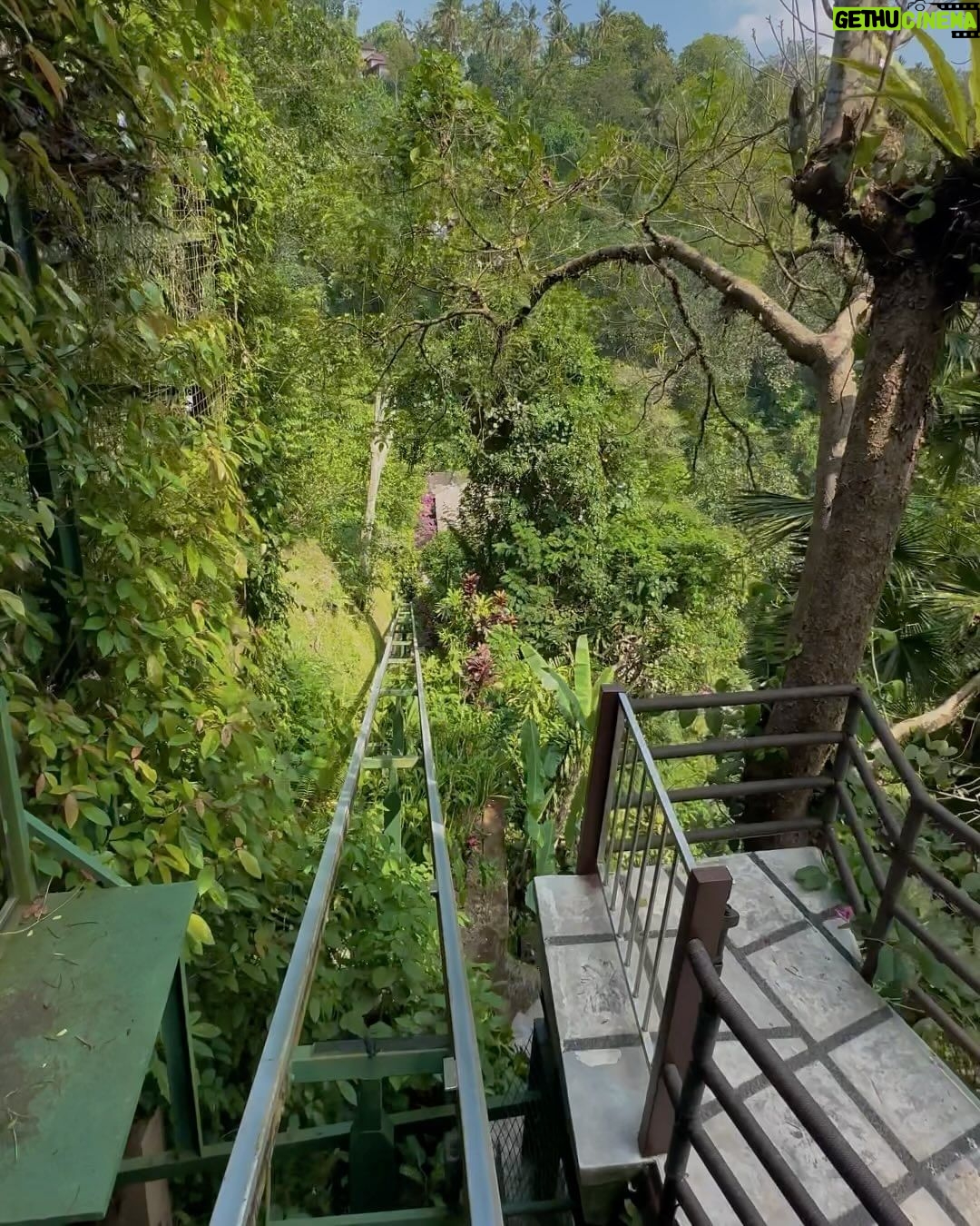María Chacón Instagram - encontramos un pedacito de paraíso en @hanginggardensofbali 🌴☁️ gracias por hacer de nuestra experiencia algo inolvidable 🙏 Hanging Gardens Of Bali