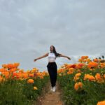 María Chacón Instagram - algunas de mis fotos favoritas de 2023 que no postee ✨ -flower fiels en carlsbed, cali. -st Barths -Costa Rica -nusa penida -punta mita -amalfi coast -ubud, bali -Río de Janeiro -Colombia -brindando con mi gente más cercana a salud de mi papá con los vinos que tenían sus etiquetas. 🤍 Agradecida por tantos recuerdos hermosos que me dio este año. ❤️