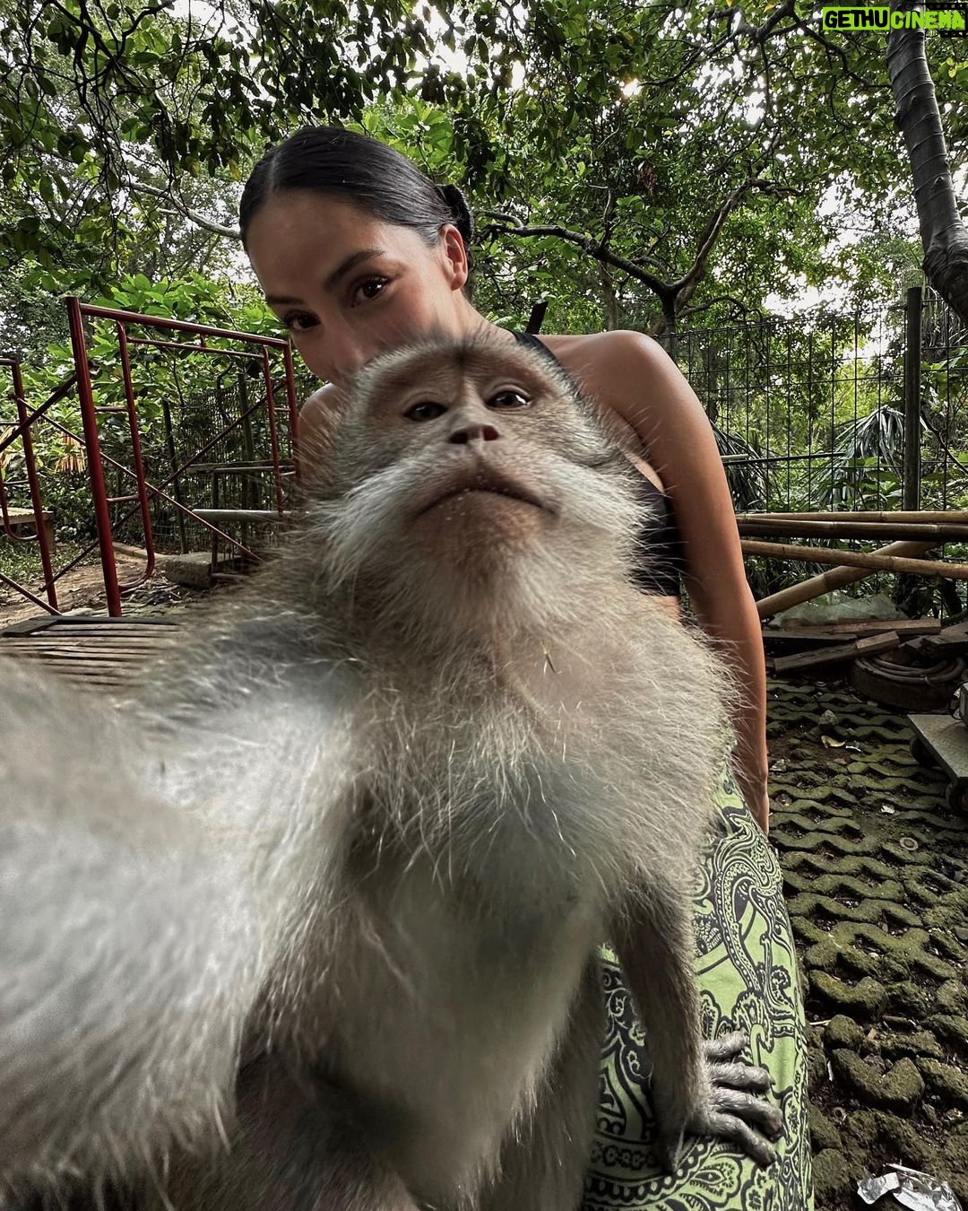 Mar铆a Chac贸n Instagram - Selfie con mi amiguito nuevo馃悞馃槀 Monkey Forest Ubud