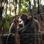 María Chacón Instagram - momentos que me da felicidad tener capturados en fotitos para que nunca se me olviden 🤍 Ubud, Bali, Indonesia