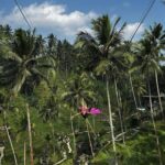 María Chacón Instagram - momentos que me da felicidad tener capturados en fotitos para que nunca se me olviden 🤍 Ubud, Bali, Indonesia