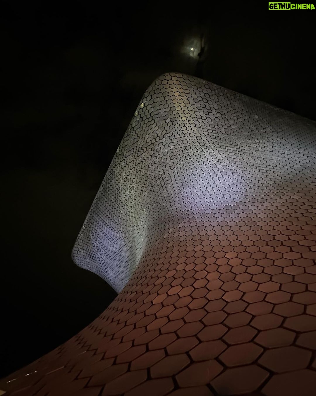 Mar铆a Chac贸n Instagram - una noche con @lorealparis #porquetulovales 馃枻 Museo Soumaya