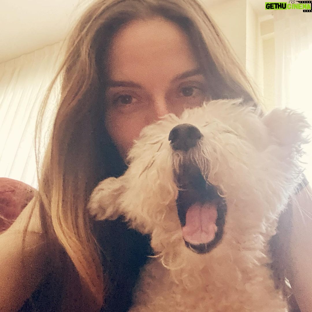 María Valverde Instagram - Mi LIA, mi peludita, mi galletita, mi TODO. Siempre serás nuestra LUZ. SIEMPRE. Gracias por estos años de AMOR INFINITO 🤍