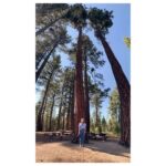 María Valverde Instagram – #LakeTahoe