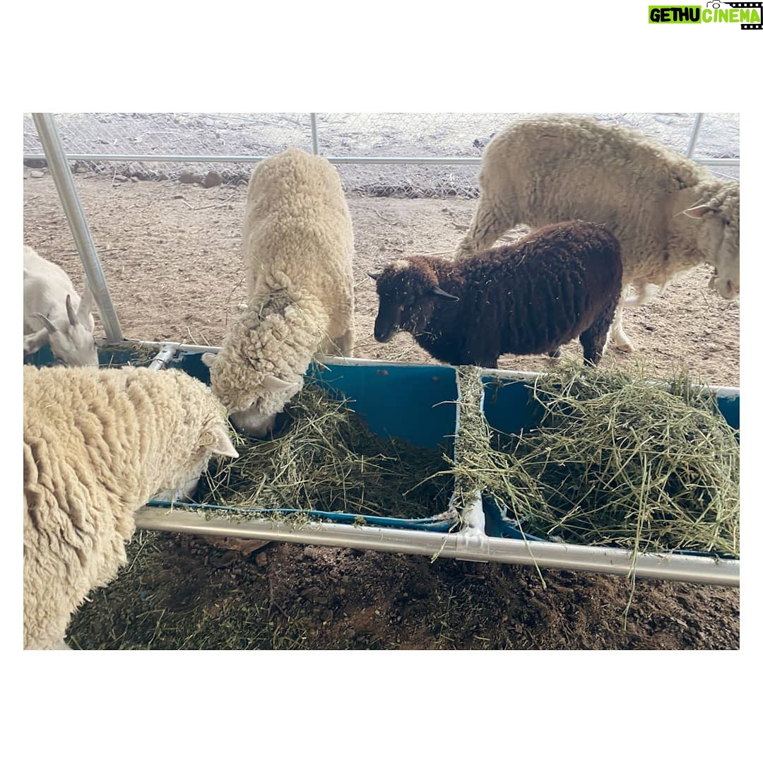 María Valverde Instagram - A day in the farm 😊.